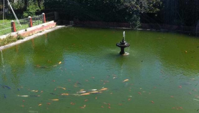 Campestre Sierra Viva Hotell Zacatlán Eksteriør bilde